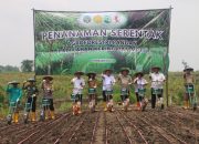 Dukung Ketahanan Pangan, Perhutani Divre Jatim Gelar Tanam Serentak Padi Gogo di Bojonegoro