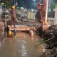 Drainase Karang Menjangan Dikerjakan di Tengah Lumpur, Metode Kerja dan K3 Jadi Sorotan